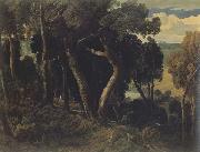 William Turner of Oxford Wichwood Forest,Oxfordshire (mk47) painting